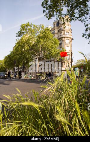 France, Paris, 75, 12th District, Avenue de Saint Mande, Square Courteline, maggio 2023. Foto Stock