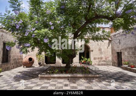 Un tranquillo cortile ad Arequipa, Perù, caratterizzato da un albero di jacaranda in fiore e da un'architettura rustica in pietra. L'ambiente tranquillo evoca un senso di istoria Foto Stock