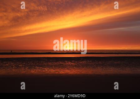 Splendido tramonto dorato ad alto contrasto sul mare con riflessi di luce su un torrente di marea e sulle distese fangose di fronte ad esso Foto Stock