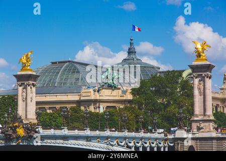Francia, ile-de-France, Parigi, Ponte Alessandro III Foto Stock