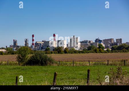 Francia, Hauts de France, Pas de Calais, Lestrem. Fabbrica di Roquette. Ingredienti di origine vegetale, proteine, vegetali, eccipienti. Foto Stock