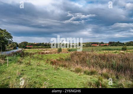 Lungolago dalle zone più vicine della città medievale di Viborg, Danimarca Foto Stock