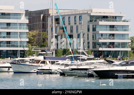 Cigni e yacht il Marina Yacht Park di Gdynia, Polonia, Europa, UE Foto Stock