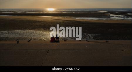 Due persone si godono un tranquillo tramonto su una spiaggia, con uccelli e acqua riflettente che si aggiungono alla scena serena. Foto Stock