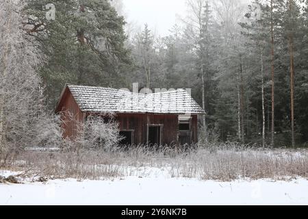 Vecchio edificio agricolo abbandonato ai margini della foresta in un giorno nebbioso d'inverno, con alberi e arbusti ghiacciati. Foto Stock