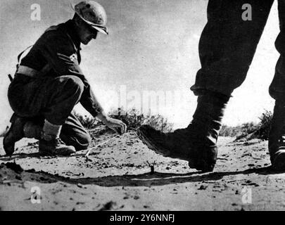 Un'arma che è emersa in questa guerra, le mine terrestri nemiche, la Miniera S che è stata lanciata da una persona che calpestava i piccoli rebbi che sporgono dal suolo febbraio 1943 ©2004 Topfoto Foto Stock