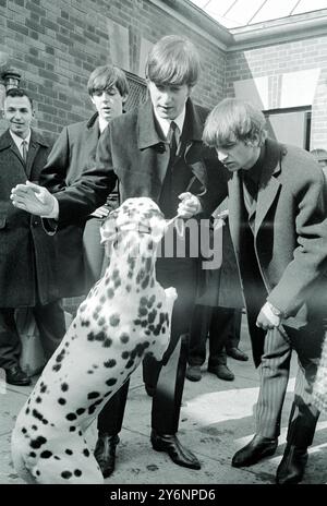 New York: Cercando di fare amicizia con dice," il dalmata, che si è rivelato un fan indisciplinato, i tre Merseyside Lads, (sinistra-destra) Paul McCartney, John Lennon e Ringo Starr incontrano dice mentre andavano a visitare Central Park. Ha fatto un'apparizione all'ed Sullivan T.V. Show ieri sera, 10 febbraio 1964 Foto Stock