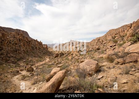 Area intorno alla Balanced Rock nel Big Bend National Park, Texas Foto Stock