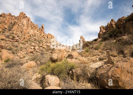 Area intorno alla Balanced Rock nel Big Bend National Park, Texas Foto Stock