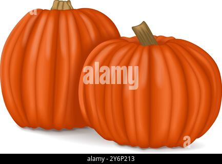 Gruppo di zucca Big Max. Squash invernale. Cucurbita maxima. Frutta e verdura. Illustrazione vettoriale isolata. Illustrazione Vettoriale