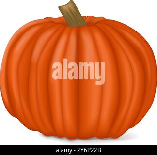 Zucca Big Max. Squash invernale. Cucurbita maxima. Frutta e verdura. Illustrazione vettoriale isolata. Illustrazione Vettoriale
