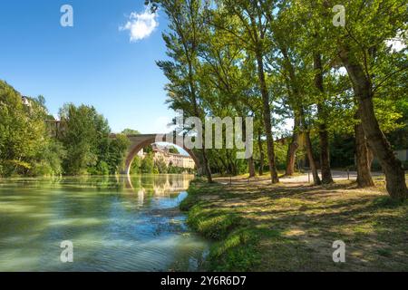 Ponte della Concordia o Diocleziano, antico ponte romano sul fiume Metauro e alberi sulla riva. Fossombrone, provincia di Pesaro e Urbino, Marc Foto Stock