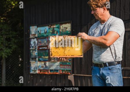 Ritratto di un uomo caucasico, apicoltore in gialle tute protettive che reggono una struttura di alveare ricoperta di pettine e api Foto Stock