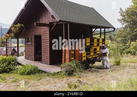 Ritratto di apicoltore che lavora raccogliere il miele all'alveare Foto Stock