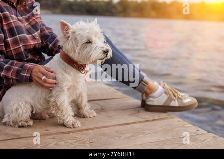 Uomo seduto su un molo di legno vicino al lago, accarezzare delicatamente un piccolo cane bianco. Cane che si gode un momento sereno sull'acqua durante il tramonto. Concetto di camminata dei cani Foto Stock