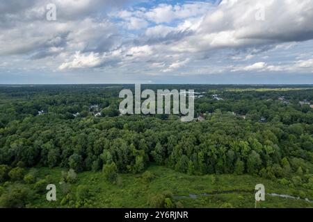 Una lussureggiante foresta verde con un cielo nuvoloso sullo sfondo. Il cielo è coperto e gli alberi sono densi. Richmond, Stati Uniti Foto Stock