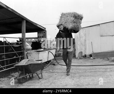 BOXER BILLY WALKER WARKING IN UNA FATTORIA - PAGLIA / 5 MARZO 1962 Foto Stock