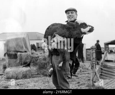 BOXER BILLY WALKER WARKING IN UNA FATTORIA - VITELLO / 5 MARZO 1962 Foto Stock