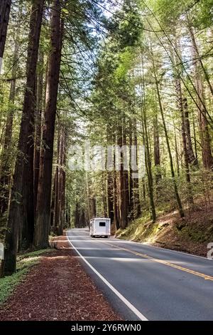 Camper su una strada tortuosa senza auto attraverso alti alberi di sequoia in una tranquilla foresta Foto Stock