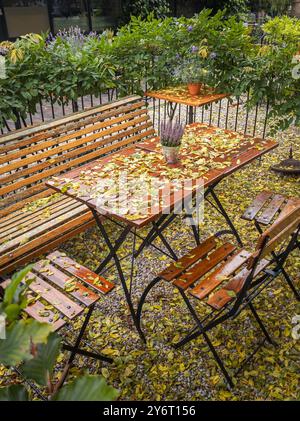 Un'accogliente scena autunnale a Leida, Paesi Bassi, con posti a sedere all'aperto con tavoli e sedie in legno cosparsi di foglie cadute, vicino a un sere Foto Stock