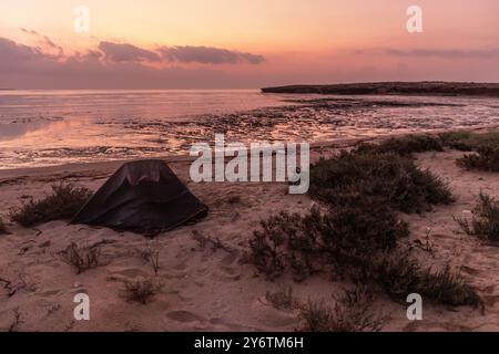 Campeggio sulla spiaggia dell'isola di Farasan, Arabia Saudita Foto Stock