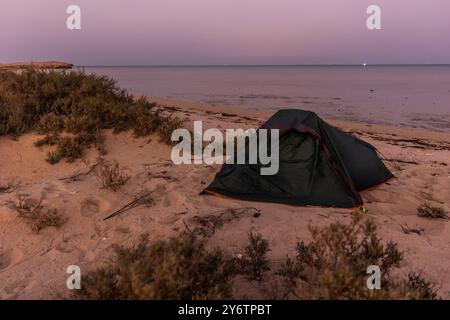 Campeggio sulla spiaggia dell'isola di Farasan, Arabia Saudita Foto Stock