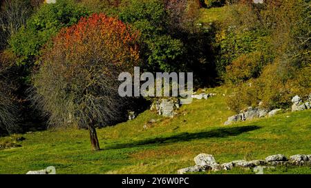 Valle delle Sfingi. Paesaggio autunnale. Velo Veronese. Provincia di Verona. Veneto, Italia Foto Stock