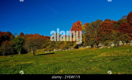 Valle delle Sfingi. Paesaggio autunnale. Velo Veronese. Provincia di Verona. Veneto, Italia Foto Stock