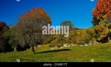 Valle delle Sfingi. Paesaggio autunnale. Velo Veronese. Provincia di Verona. Veneto, Italia Foto Stock