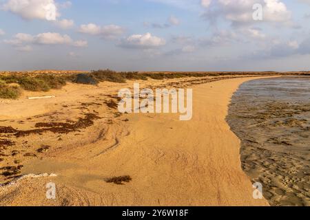 Campeggio sulla spiaggia dell'isola di Farasan, Arabia Saudita Foto Stock