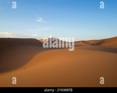 Gentel dune di sabbia ondulata di Erg Chegaga, Marocco Foto Stock