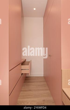 Armadi di design moderni con palissandro, pavimento in legno e semplici pareti bianche Foto Stock