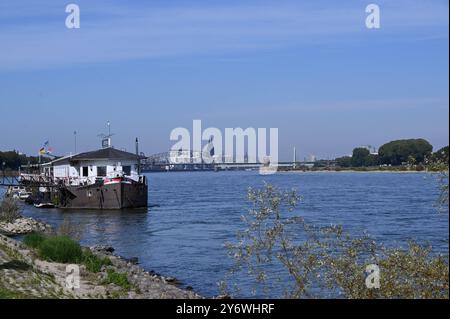 Hausboot am Rhein. Bootshaus Achterdeck, ein Fest vor Anker liegendes Schiff, Das Boothaus beherbergt ein schwimdes Lokal und Eventlocation. Im hintergrund die Skyline von Köln mit dem Kölner Dom *** Casa galleggiante sul ponte di poppa del Rhine Boat House, una nave saldamente ancorata, la casa ospita un ristorante galleggiante e una location per eventi sullo sfondo dello skyline di Colonia con la cattedrale di Colonia Foto Stock