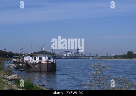 Hausboot am Rhein. Bootshaus Achterdeck, ein Fest vor Anker liegendes Schiff, Das Boothaus beherbergt ein schwimdes Lokal und Eventlocation. Im hintergrund die Skyline von Köln mit dem Kölner Dom *** Casa galleggiante sul ponte di poppa del Rhine Boat House, una nave saldamente ancorata, la casa ospita un ristorante galleggiante e una location per eventi sullo sfondo dello skyline di Colonia con la cattedrale di Colonia Foto Stock