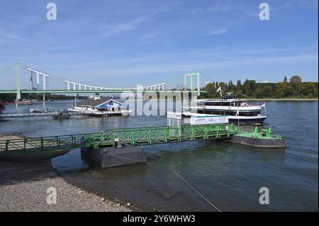 DAS Ausflugsschiff Rheinperle von KölnTourist kommt zum Anleger. Dahinter Hausboot am Rhein. Bootshaus Albatros ein Fest vor Anker liegendes Schiff, Das Boothaus beherbergt ein schwimdes Lokal und die Rodenkirchener Brücke *** la barca per escursioni KölnTourist Rheinperle arriva al molo dietro la casa galleggiante sul Reno Bootshaus Albatros una nave ormeggiata all'ancora, la casa galleggiante ospita un ristorante galleggiante e il ponte di Rodenkirchen Foto Stock