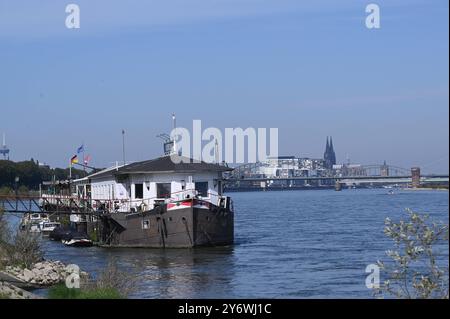 Hausboot am Rhein. Bootshaus Achterdeck, ein Fest vor Anker liegendes Schiff, Das Boothaus beherbergt ein schwimdes Lokal und Eventlocation. Im hintergrund die Skyline von Köln mit dem Kölner Dom *** Casa galleggiante sul ponte di poppa del Rhine Boat House, una nave saldamente ancorata, la casa ospita un ristorante galleggiante e una location per eventi sullo sfondo dello skyline di Colonia con la cattedrale di Colonia Foto Stock