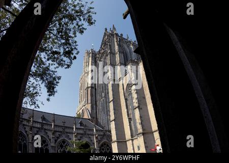 Veduta generale della Cattedrale di San Martino, Utrecht, Paesi Bassi, mercoledì 18 settembre 2024. (Foto: Mark Fletcher | notizie mi) Foto Stock