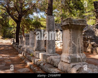 Antica strada lastricata colonnata a Phaselis, Turchia Foto Stock