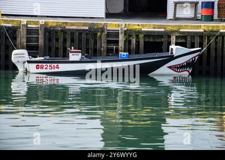 Barca con squali legata al molo di Petty Harbour–Maddox Cove, Newfoundland & Labrador, Canada Foto Stock