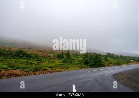 Fitta nebbia nel Gros Morne National Park Foto Stock