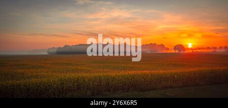 Una splendida alba autunnale sul campo di mais con nebbia mattutina Foto Stock