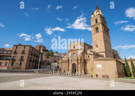 Cattedrale di Santa María de Calahorra, gotica, XV secolo, Calahorra, la Rioja , Spagna, Europa. Foto Stock