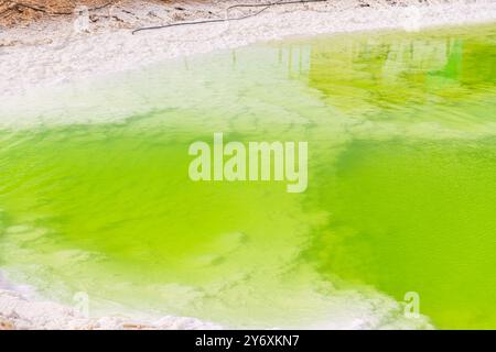 Primo piano sull'acqua verde brillante del lago Qarhan vicino a Golmud, Qinghai, Cina, immagine di sfondo con spazio per copiare il testo Foto Stock