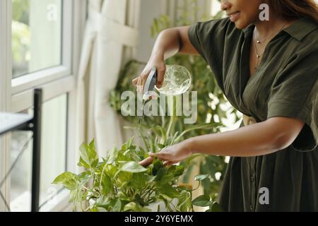 Innaffiare le piante domestiche in uno spazio interno luminoso Foto Stock