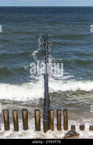 Struttura per acque costiere e frangiflutti realizzata con pilastri in legno montati sulla costa del Mar Baltico. Foto verticale scattata in un giorno d'estate di sole. Zelenogradsk, Kal Foto Stock