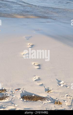 Impronte di uomo lasciate su soffice sabbia bianca di una spiaggia in Indonesia Foto Stock