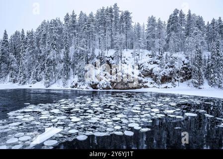 Fiume con blocchi di ghiaccio che si snodano nelle rapide di Myllykoski, sul fiume Kitkajoki, tutto coperto di neve in inverno nel Parco Nazionale di Oulanka. Juuma Kuusamo Finlandia Foto Stock