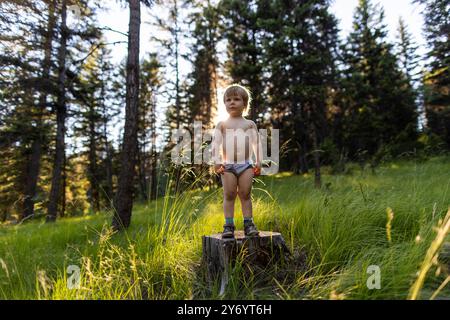 Ritratto di un bambino in piedi su un ceppo. Foto Stock