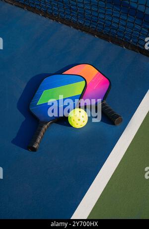 Primo piano di pale da picchetto e palla accanto alla rete sul campo blu. Foto Stock