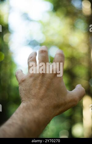 Gesto della mano maschile caucasico esteso. Aprire la mano e le dita verso l'esterno e verso l'alto, profondità di campo ridotta o messa a fuoco selettiva. Sfondo di foresta, naturale Foto Stock